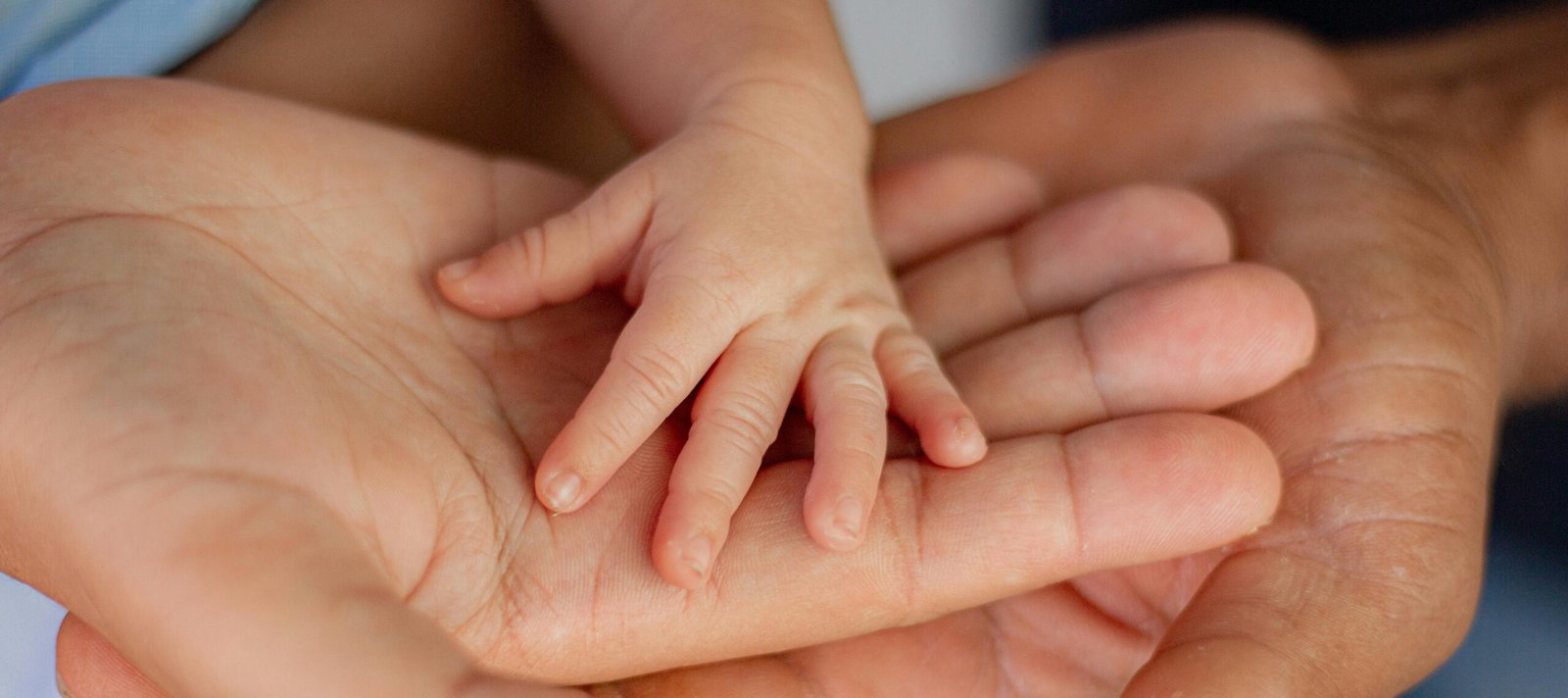 Close-up of a tiny baby's hand resting in an adult's open palm.
