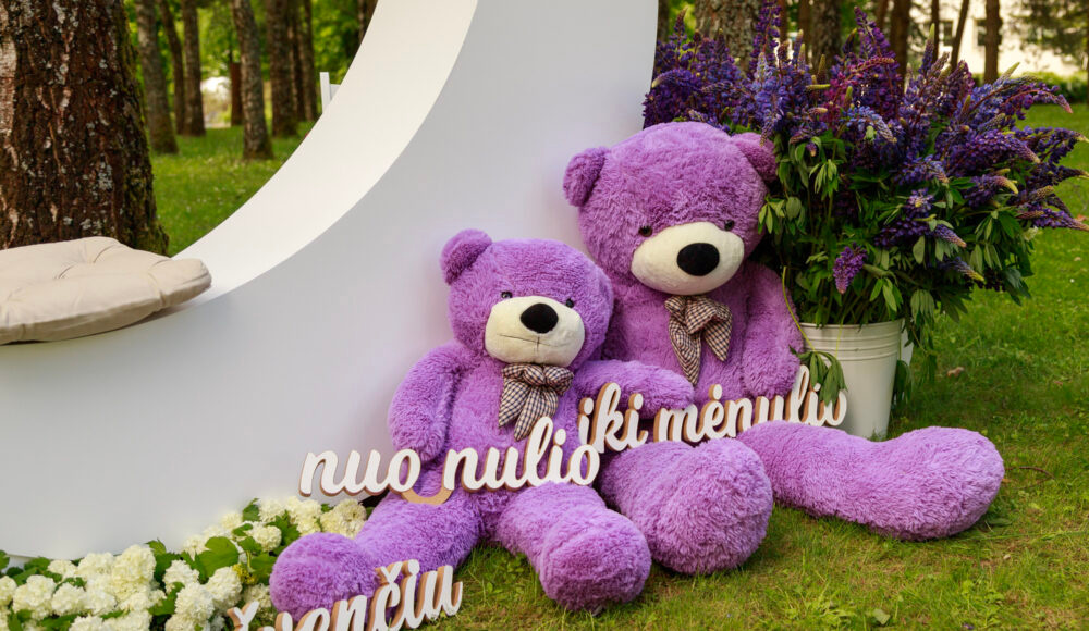 Two oversized purple teddy bears with checkered bow ties sit beside a white curved display, surrounded by white flowers and purple lupines in a park setting.