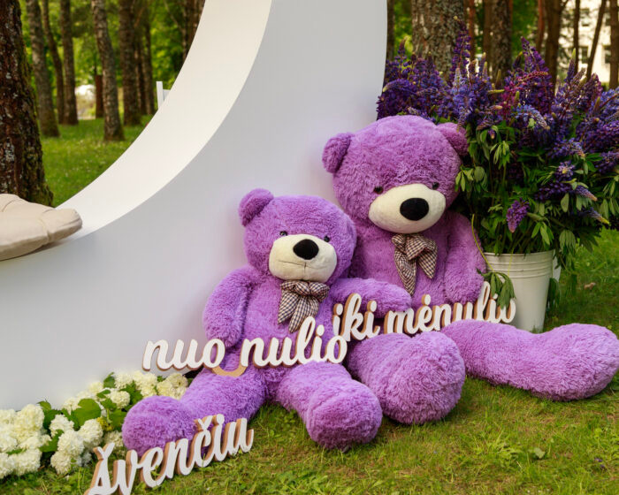 Two oversized purple teddy bears with checkered bow ties sit beside a white curved display, surrounded by white flowers and purple lupines in a park setting.